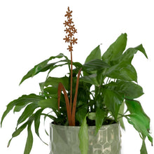 Load image into Gallery viewer, Pot Plant Flower Stakes, Rust Metal Finish, Set of 3 Spike Floral Assorted, Ornamental