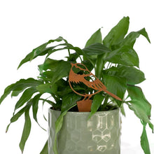 Load image into Gallery viewer, Pot Plant Bird Stakes, Rust Metal Finish, Set of 3 Bird Spikes Assorted, Ornamental.
