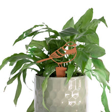 Load image into Gallery viewer, Pot Plant Bird Stakes, Rust Metal Finish, Set of 3 Bird Spikes Assorted, Ornamental.