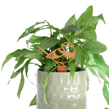 Load image into Gallery viewer, Pot Plant Bird Stakes, Rust Metal Finish, Set of 3 Bird Spikes Assorted, Ornamental.