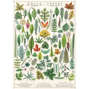 Poster / Wrap Paper, A2 Vintage Inspired Design, 'Folia' Leaves