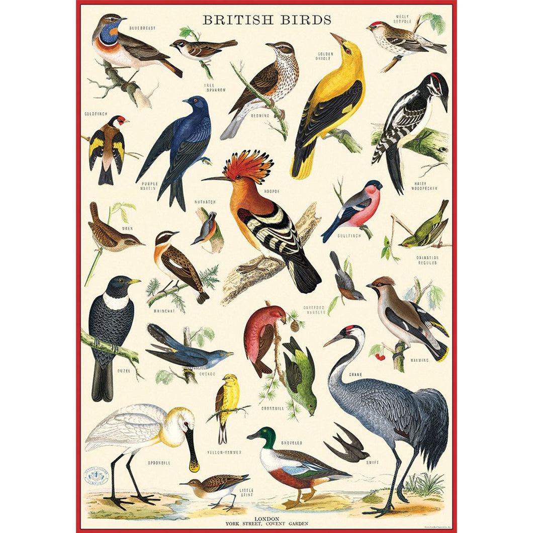 Poster / Wrap Paper, A2 Vintage Inspired Design, British Birds