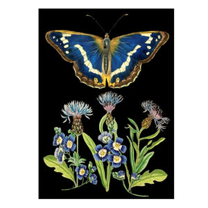 Greeting Card. Vintage Style Design. Blue Butterfly with Cornflower.