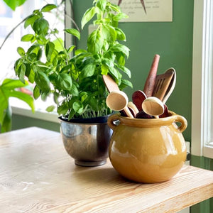 Plant Pot, Danish Glazed Pottery. Pot with Handles - Curry Colour  VF