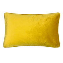 Load image into Gallery viewer, Cushion. Rectangle Velvet Stripe Cushion. Striped, Coloured Pattern. VF.