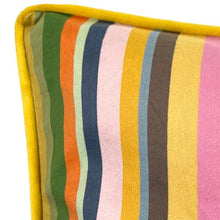Load image into Gallery viewer, Cushion. Rectangle Velvet Stripe Cushion. Striped, Coloured Pattern. VF.