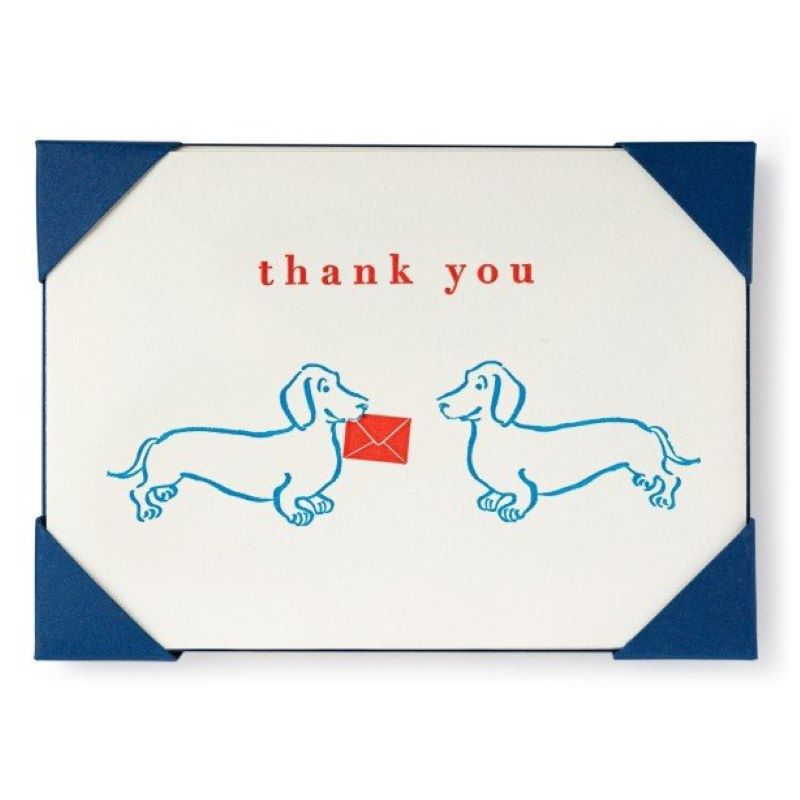 Cards, Dachshund / Sausage Dog, Thank you, Pack of 5 Notelets with Envelopes