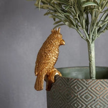 Load image into Gallery viewer, Plant Pot Hanger, Metal / Gold Coloured Parrot Hanger, for Decoration.
