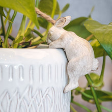 Load image into Gallery viewer, Plant Pot Hanger, White Bunny Rabbit, for Decoration.
