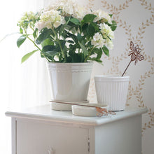 Load image into Gallery viewer, Pot Plant Flower Stakes, Rust Metal Finish, Set of 3 Bee Spikes, Ornamental