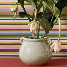 Load image into Gallery viewer, Plant Pot, Danish Glazed Pottery. Pot with Handles - Taupe Colour VF