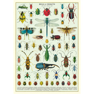 Poster / Wrap Paper, A2 Vintage Inspired Design, Bugs & Insect Poster