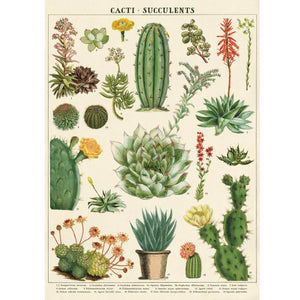 Poster / Wrap Paper, A2 Vintage Inspired Design, Cacti / Succulents