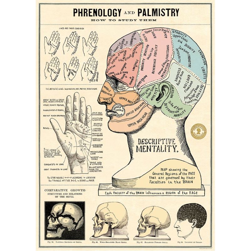 Poster / Wrap Paper, A2 Vintage Inspired Design, Phrenology and Palmistry Poster