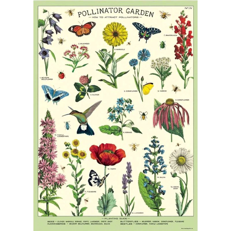 Poster / Wrap Paper, A2 Vintage Inspired Design, Pollinator Poster