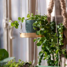 Load image into Gallery viewer, Tray, Plant Tray Hanging Round Gold Small, Window Dressing