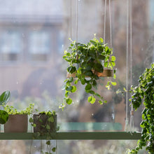 Load image into Gallery viewer, Tray, Plant Tray Hanging Round Gold Small, Window Dressing