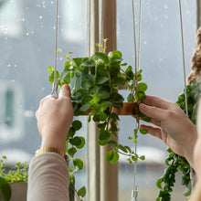 Load image into Gallery viewer, Tray, Plant Tray Hanging Round Gold Small, Window Dressing