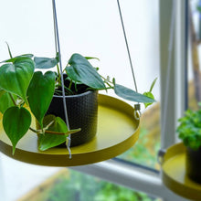 Load image into Gallery viewer, Tray, Plant Tray Hanging Round Gold Large, Window Dressing