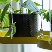 Load image into Gallery viewer, Tray, Plant Tray Hanging Round Gold Large, Window Dressing