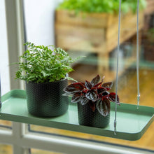 Load image into Gallery viewer, Tray for Plants Hanging Rectangular Green Small