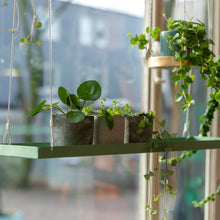 Load image into Gallery viewer, Tray for Plants, Hanging Rectangular Green Large