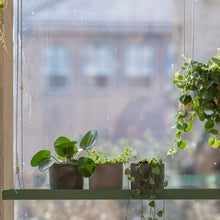 Load image into Gallery viewer, Tray for Plants, Hanging Rectangular Green Large