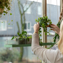 Load image into Gallery viewer, Tray for Plants, Hanging Rectangular Green Large