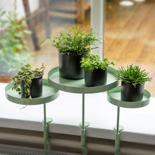 Load image into Gallery viewer, Tray, Plant Tray, Windowsill Clamp Medium Green.