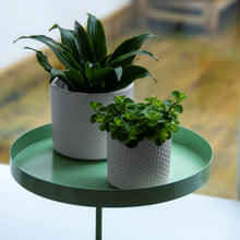 Load image into Gallery viewer, Tray, Plant Tray, Windowsill Clamp Medium Large Green