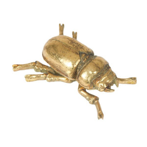 Wall Art, Antique Gold Lady Beetle, Small