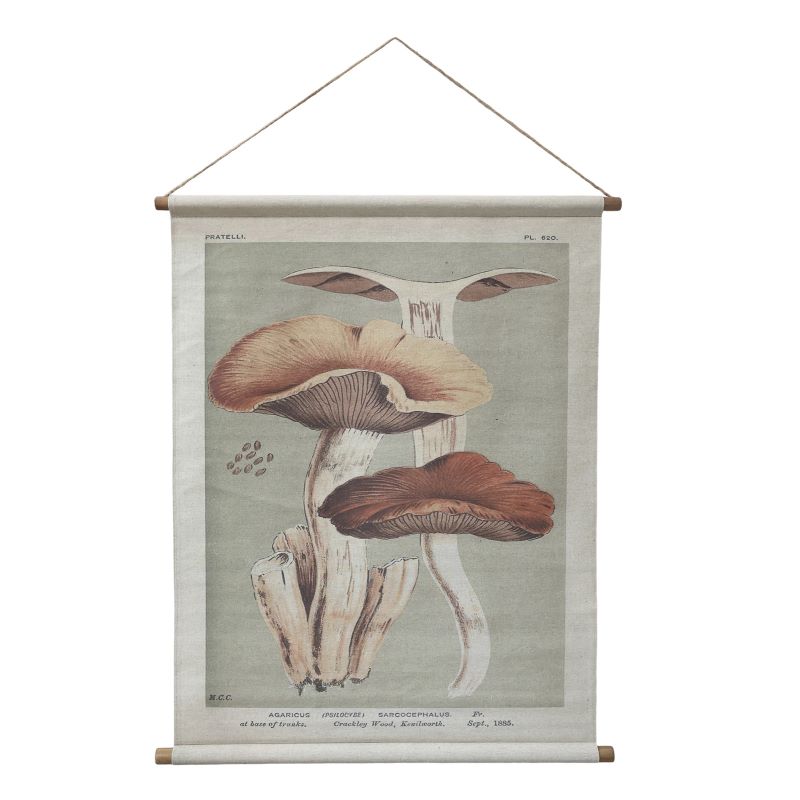 Wall Hanging / Picture. Canvas, Vintage Fungi / Mushroom Print. 97x76cm