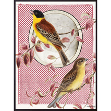 Load image into Gallery viewer, Print / Poster, 50x70cm Danish Design Art Work, Parus Yellow Bird on Red, VF.
