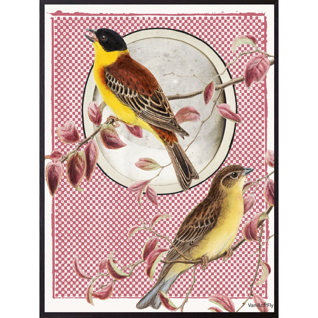 Print / Poster, 50x70cm Danish Design Art Work, Parus Yellow Bird on Red, VF.