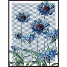 Load image into Gallery viewer, Print / Poster, 50x70cm Danish Design Art Work, Blue Cornflower, VF
