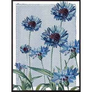 Print / Poster, 50x70cm Danish Design Art Work, Blue Cornflower, VF