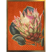 Load image into Gallery viewer, Print / Poster, 50x70cm Danish Design Art Work, Protea Flower, Orange Rust, VF.
