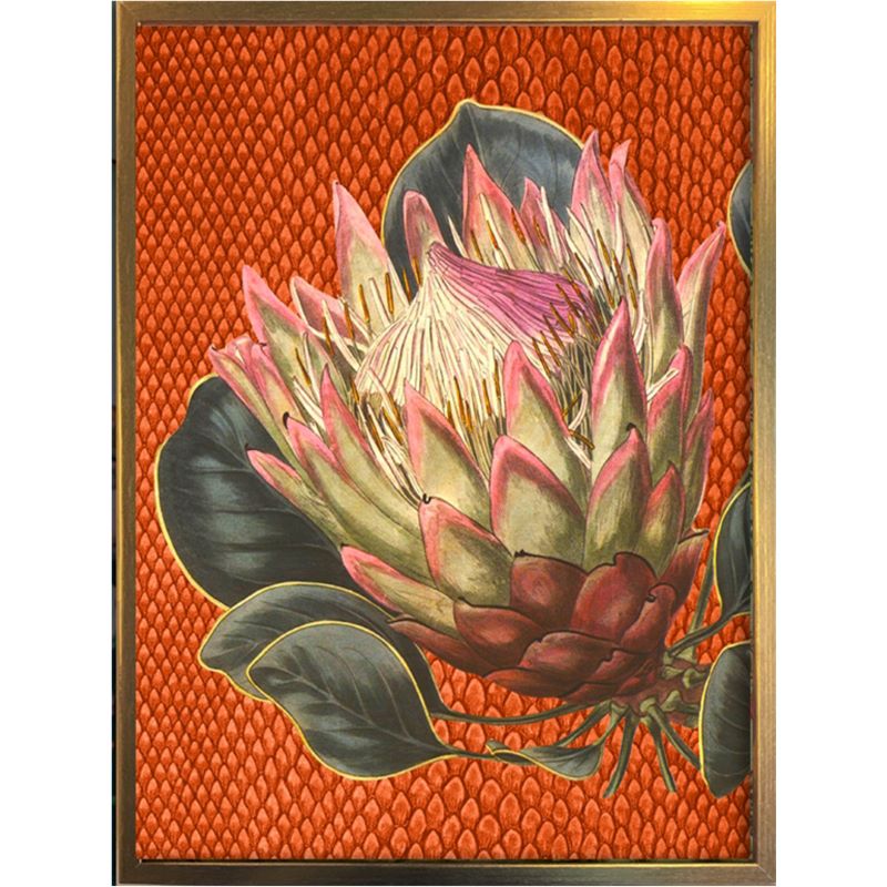 Print / Poster, 50x70cm Danish Design Art Work, Protea Flower, Orange Rust, VF.