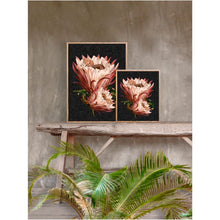 Load image into Gallery viewer, Print / Poster, 70x100cm Danish Design Art Work, Pink Protea, VF.
