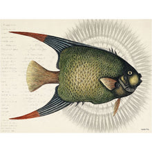 Load image into Gallery viewer, Print / Poster, 50x70cm Danish Design Art Work, Tropical Fish, VF.
