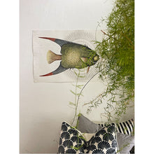 Load image into Gallery viewer, Print / Poster, 50x70cm Danish Design Art Work, Tropical Fish, VF.
