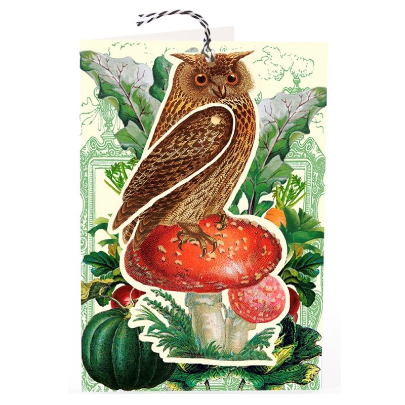 Greeting Card. Articulated 'Fandangles' Brown Owl on Mushroom
