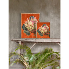 Load image into Gallery viewer, Print / Poster, 50x70cm Danish Design Art Work, Protea Flower, Orange Rust, VF.
