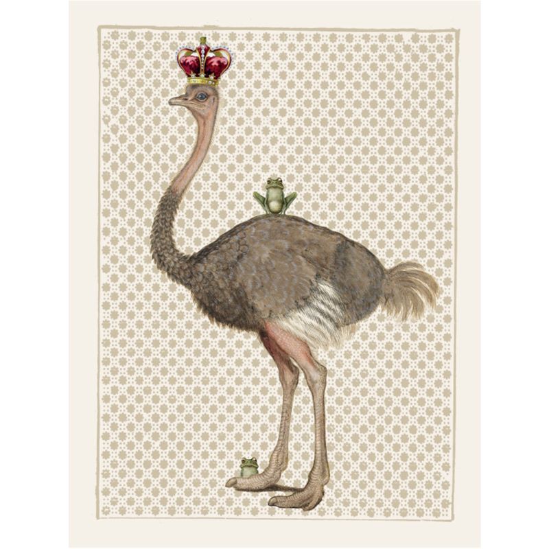 Print / Poster, 50x70cm Danish Design Art Work, King Ostrich, VF.