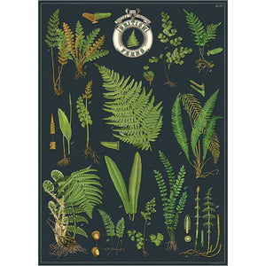 Poster / Wrap Paper, A2 Vintage Inspired Design, Grasses Poster