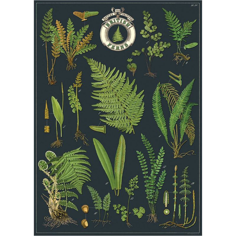 Poster / Wrap Paper, A2 Vintage Inspired Design, Grasses Poster