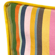 Load image into Gallery viewer, Cushion. Rectangle Velvet Stripe Cushion. Striped, Coloured Pattern. VF.

