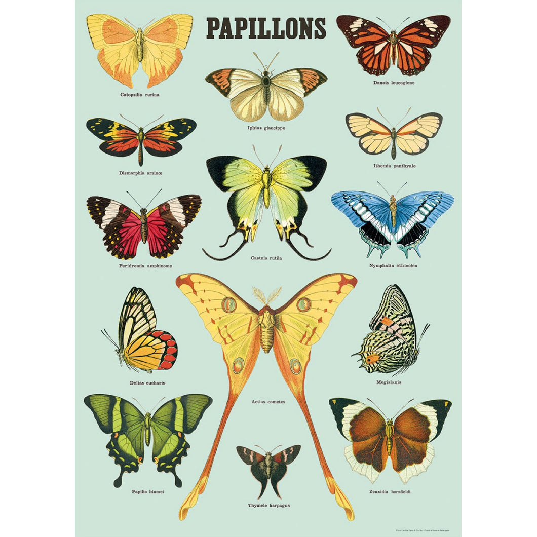 Poster / Wrap Paper, A2 Vintage Inspired Design, Butterflies/ Papillons