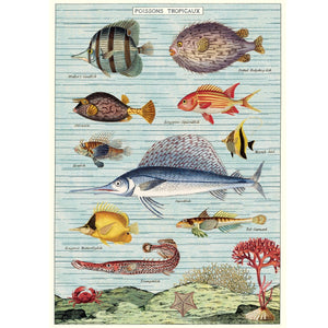 Poster / Wrap Paper, A2 Vintage Inspired Design, Tropical Fish/ Poissons Tropicaux