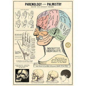 Poster / Wrap Paper, A2 Vintage Inspired Design, Phrenology and Palmistry Poster